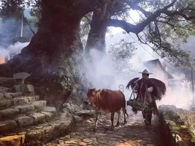 逃离陈旧房2